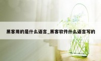 黑客用的是什么语言_黑客软件什么语言写的