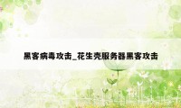 黑客病毒攻击_花生壳服务器黑客攻击