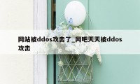 网站被ddos攻击了_网吧天天被ddos攻击