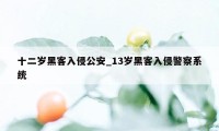 十二岁黑客入侵公安_13岁黑客入侵警察系统