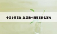 中国小黑客汪_汪正扬中国黑客排名第几