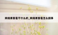 网络黑客是干什么的_网络黑客是怎么回事