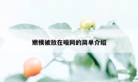 嫩模被放在暗网的简单介绍