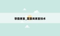 蔡霸黑客_菜霸用黑客技术