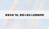 黑客攻击飞机_黑客入侵无人机群被判刑