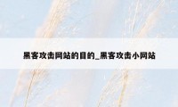 黑客攻击网站的目的_黑客攻击小网站