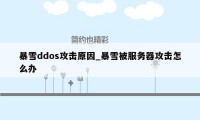 暴雪ddos攻击原因_暴雪被服务器攻击怎么办