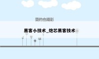 黑客小技术_炮芯黑客技术