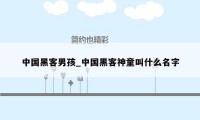 中国黑客男孩_中国黑客神童叫什么名字