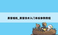 黑客相机_黑客技术入门单反参数教程