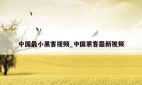 中国最小黑客视频_中国黑客最新视频
