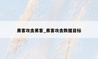 黑客攻击黑客_黑客攻击数据目标
