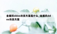 金盾抗ddos攻击方案是什么_金盾抗ddos攻击方案