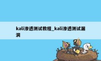 kali渗透测试教程_kali渗透测试漏洞