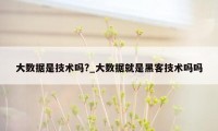 大数据是技术吗?_大数据就是黑客技术吗吗