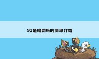 91是暗网吗的简单介绍