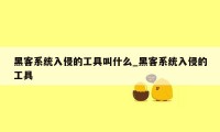 黑客系统入侵的工具叫什么_黑客系统入侵的工具