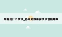 黑客是什么技术_基本的假黑客技术包括哪些