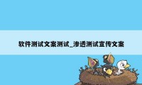 软件测试文案测试_渗透测试宣传文案