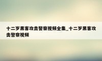 十二岁黑客攻击警察视频全集_十二岁黑客攻击警察视频