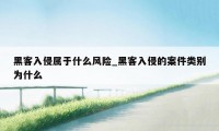 黑客入侵属于什么风险_黑客入侵的案件类别为什么