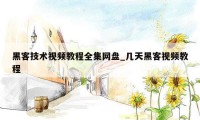 黑客技术视频教程全集网盘_几天黑客视频教程