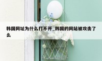 韩国网址为什么打不开_韩国的网站被攻击了么