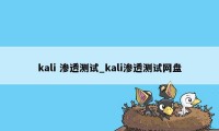 kali 渗透测试_kali渗透测试网盘