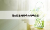 国内能进暗网吗的简单介绍