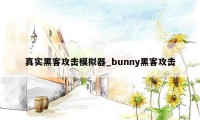 真实黑客攻击模拟器_bunny黑客攻击