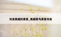 攻击美国的黑客_美国菜鸟黑客攻击