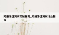 网络渗透测试实践指南_网络渗透测试行业报告