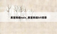 黑客网络naix_黑客网络bit初章