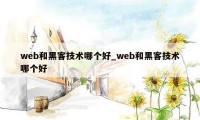 web和黑客技术哪个好_web和黑客技术哪个好