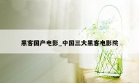 黑客国产电影_中国三大黑客电影院
