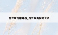 荷兰攻击服务器_荷兰攻击网站合法