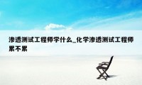 渗透测试工程师学什么_化学渗透测试工程师累不累
