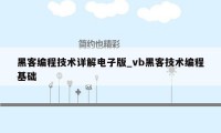 黑客编程技术详解电子版_vb黑客技术编程基础
