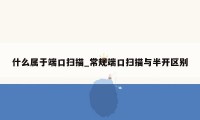 什么属于端口扫描_常规端口扫描与半开区别