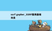 ssrf gopher_SSRF服务器端攻击